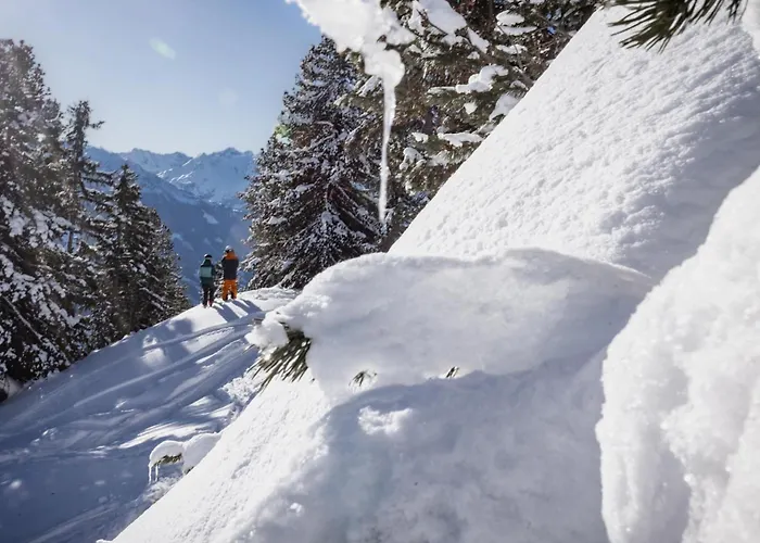 Vivazilare Loft - Alpenluxus Collection Apartament Fügen